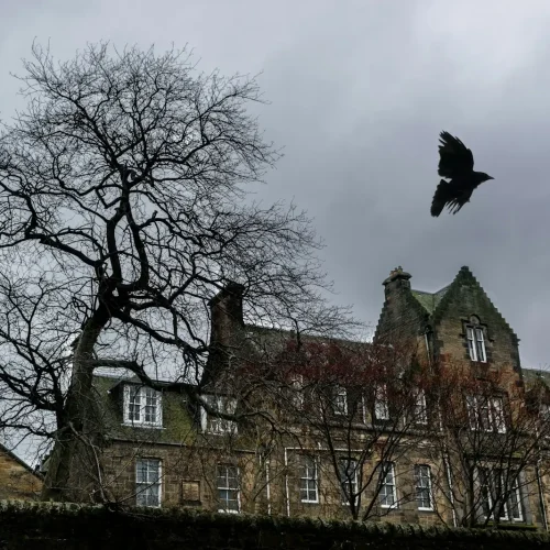 a large building with a bird flying over it